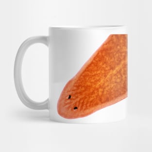 Planaria worm under the microscope Mug